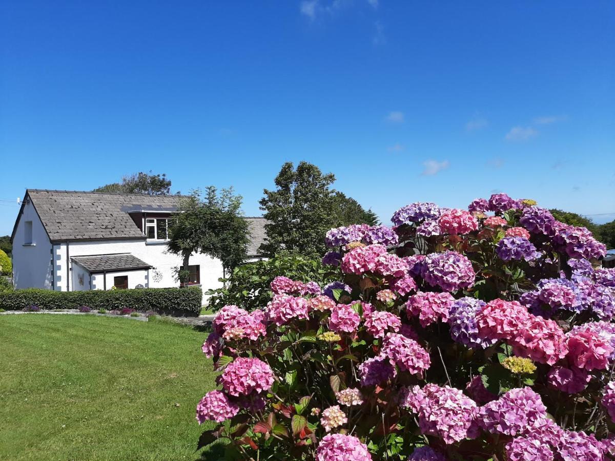 Trenewydd Farm Holiday Cottages Cardigan Exterior photo